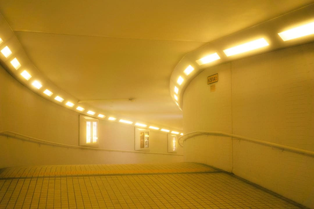 泉州市泉港区山腰盐场：绘出秋日丰盈画卷